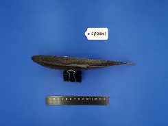 媋8u鰶@h&amp;? -超凡登录入口